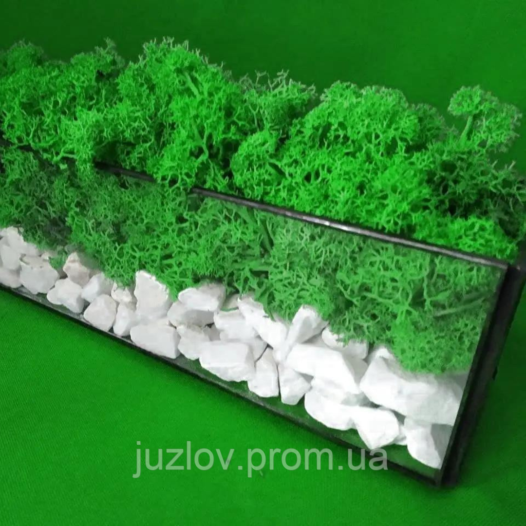 Купить Моссариум флорариум стеклянный со стабилизированным мхом и ...