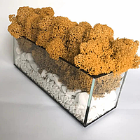 Моссариум флорариум бесшовный стеклянный со стабилизированным мхом и камнями 20*7*7 см оранжевый