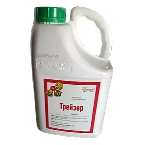 Протруйник Трейзер (тиаметоксам 350г/л) Ранголі, 1 л, фото 2