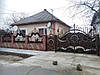 Ворота ковані Астра 2, фото 9