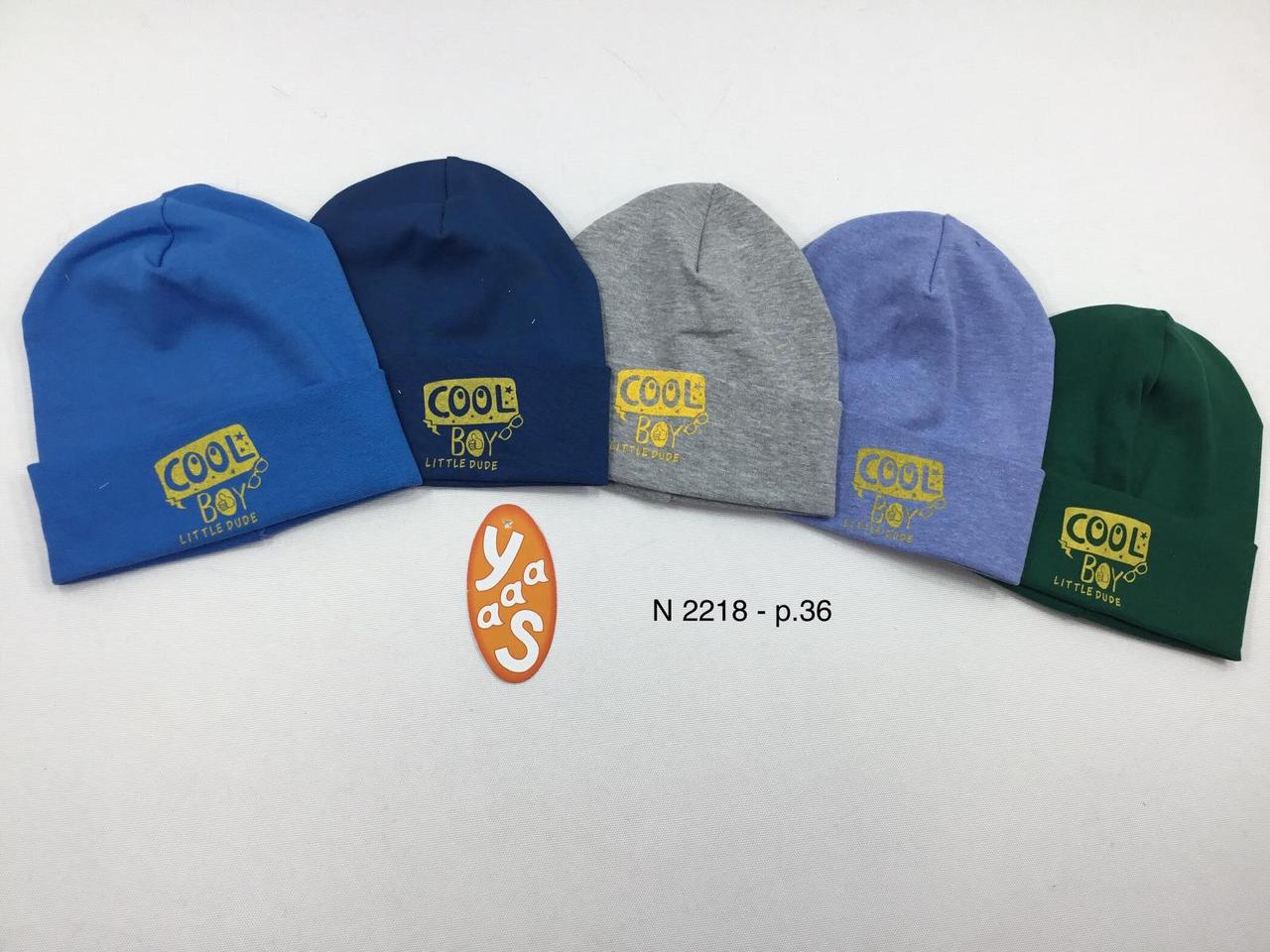 Шапки дитячі  для хлопчика 2218.