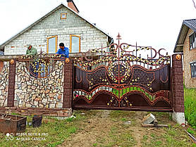 Комір ковані Астра, фото 3