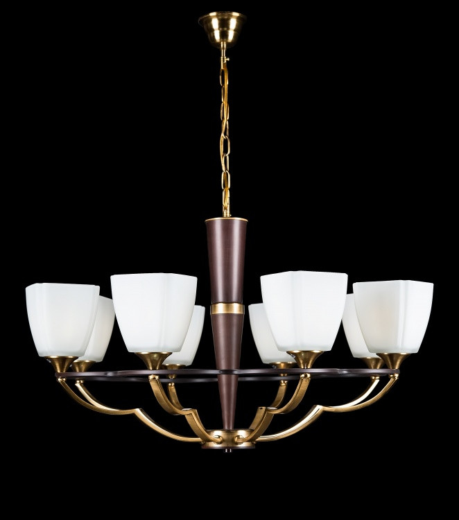 Люстра в зал із плафонами Splendid-Ray 260959, фото 1