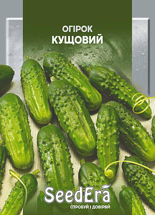 БП Насіння Огірок Кущовий 20 г, Seedera, фото 1