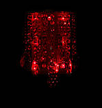 Настінний світильник кришталевий Splendid-Ray 254207, фото 2