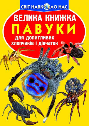Енциклопедія Велика книжка. Павуки, фото 1