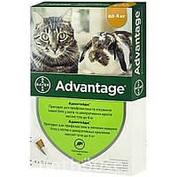 Advantage (Адвантейдж) 40 для кошек и котят менее 4 кг (1 шт.)