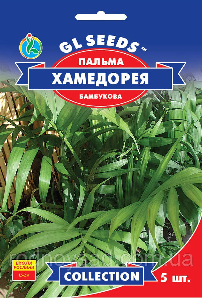 Пальма бамбукова Хамедорея насіння (5 шт.), Collection, TM GL Seeds, фото 1