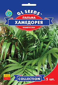 Пальма бамбукова Хамедорея насіння (5 шт.), Collection, TM GL Seeds