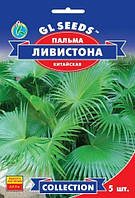 Пальма китайська Лівістона насіння (5 шт.), Collection, TM GL Seeds