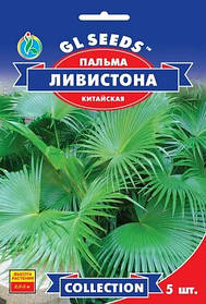 Пальма китайська Лівістона насіння (5 шт.), Collection, TM GL Seeds