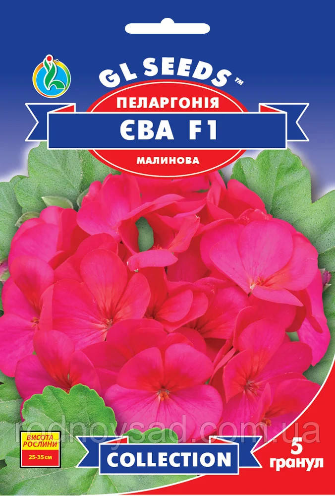 Паларгонія Єва Малинова F1 насіння (5 шт.) герань калачики, Collection, TM GL Seeds