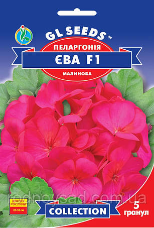 Насіння Пеларгонії