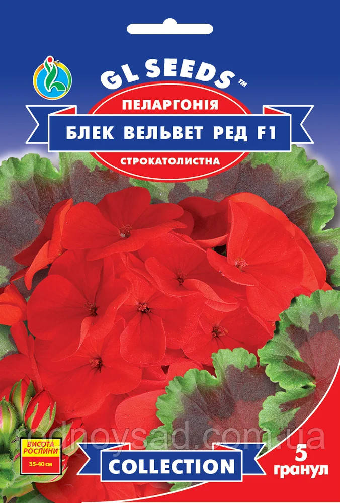 Паларгонія Блек Вельвет Ред F1 насіння (5 шт.), Collection, TM GL Seeds