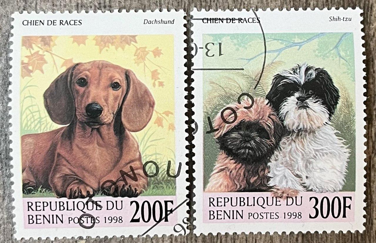 Набір марокіли - Собаки, фото 1