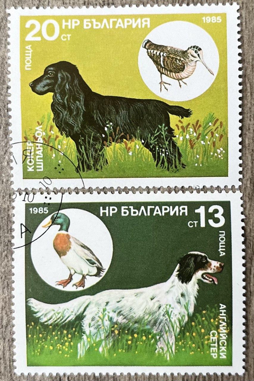 Набір марок Болгарія — Собаки, фото 1