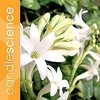 Аромаолія Candle Science для свічок та мила Гарденія Тубероза (Gardenia Tuberose) 30 г