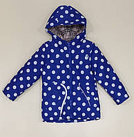 Демисезонная куртка на девочку 04322 синего цвета в горошек 4г/104/30