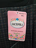 Жіночі штани-лосини "Ластівка" (5-6XL)велікан, фото 3