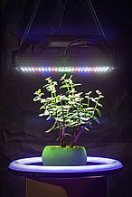 240W 416LED Квантум борд "Люмен 240" для рослин (Повний спектр Фітолампа Гроубокс Теплиця Quantum board)