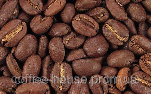 Кава розсипна в зернах Brasilia Santos 100%arab (кг.)
