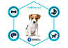 Advance (Едванс) Dog Mini Puppy - Корм для цуценят міні порід 700 гр, фото 7