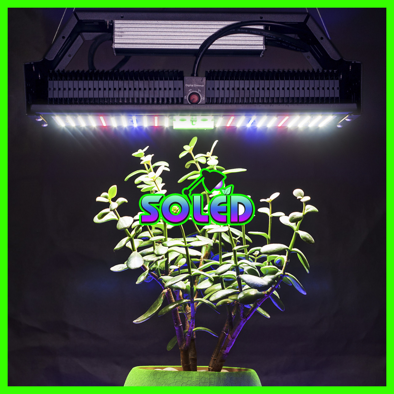 240W 416LED Quantum board "Люмен 240" для рослин (Повний спектр Фітолампа Гроубокс Теплиця Mars Hydro)