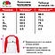 Футболка з довгим рукавом Fruit of the Loom 61-028 Білий з синім, фото 5
