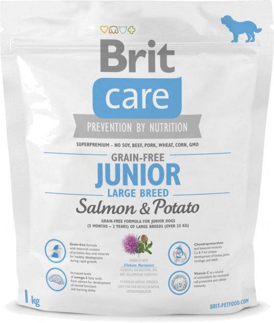 Беззерновий корм для цуценят та молодих порід з лососем Brit Care GF Junior Junior Large Breed Salmon & Potato 1 кг, фото 1