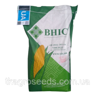 Насіння кукурудзи гібрид Тесла ФАО 350 , (2025 рік), фото 1