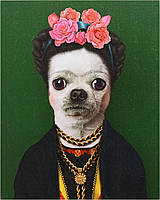 Mexico Empire Art Direct Pets Rock Daisy Графика на обернутом холсте с изображением кошки, настенное иску