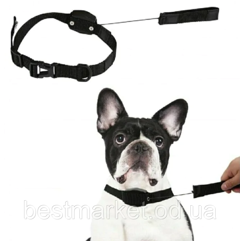 Нашийник-Повідець для Собак Регульований Lucky Leash (EL-519)