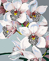 Картина по номерам Привлекательные орхидеи, 40х50 Rainbow Art (GX43805)