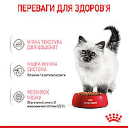Royal Canin Kitten Instinctive (Роял Кананін Кіттен) консерви для кошенят у соусі 85 грамів, фото 4
