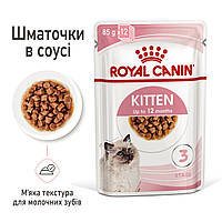 Royal Canin Kitten Instinctive (Роял Кананин Киттен) консервы для котят в соусе 85 грамм