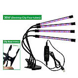 РОЗПРОДАЖ!!! Світлодіодна LED фітолампа для рослин 4 ріжка, фото 5