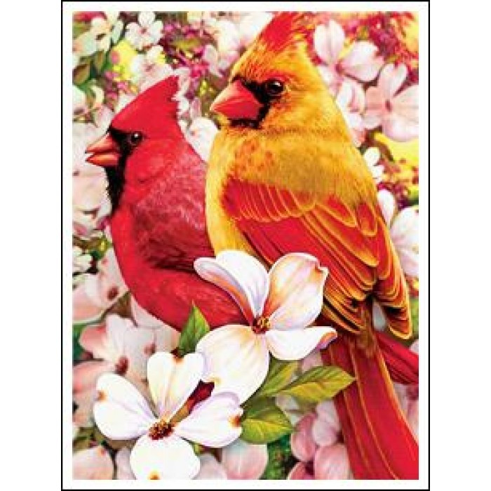Картина за номерами 30х40 см DIY (без коробки) Пташки (EKTL1174_O)