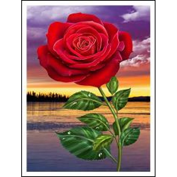 Картина за номерами 30х40 см DIY (без коробки) Троянда (EKTL1492_O)