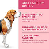 Optimeal Medium Dog для собак середніх порід з індичкою 12 кг, фото 4