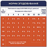 Клуб 4 Лапи Premium Puppies Chicken з куркою в желе для цуценят 24х100 г, фото 6