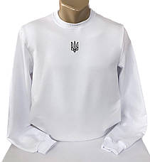Світшот чоловічий з гербом, 211, S M L XL XXL XXXLр., фото 3