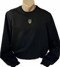 Світшот чоловічий з гербом, 211, S M L XL XXL XXXLр., фото 5