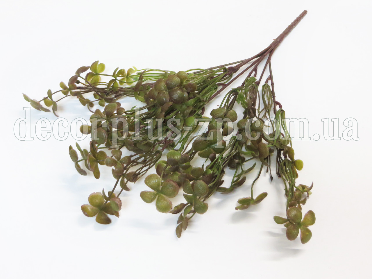 Букет конюшини, зелено-коричневий (7 гілок), фото 1