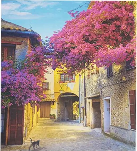 Картина за номерами 40х50 см DIY (без коробки) Дворик (Y5045_O), фото 1