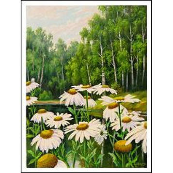 Картина за номерами 30х40 см DIY (без коробки) Ромашки (EKTL1494_O)