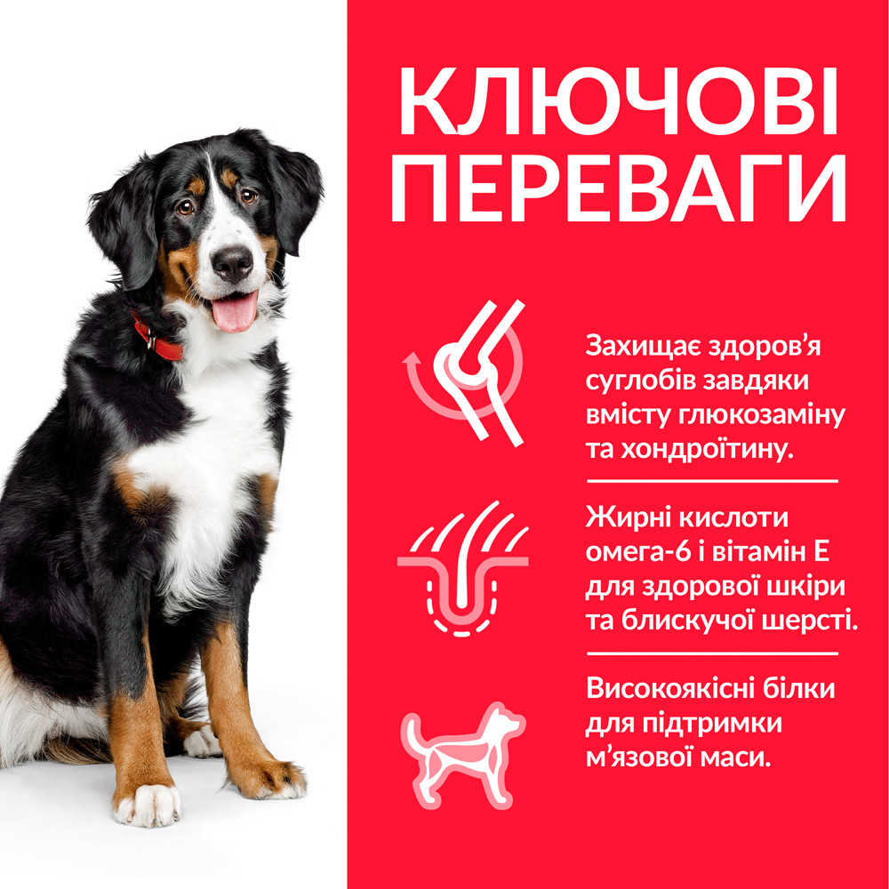 Купить Hill s Science Plan Adult Large Breed Сухий корм для дорослих ...