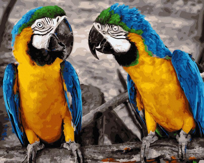 Малювання по номерам Raskraski Парочка папуг (BK-GX22033) 40 х 50 см, фото 1