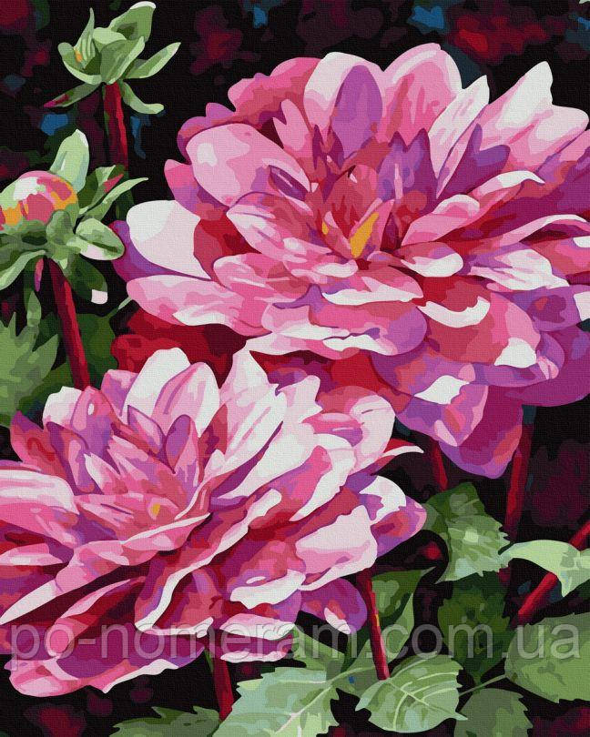 Акційна Картина за номерами Півонії в саду (BK-GX45020) 40 х 50 см, фото 1