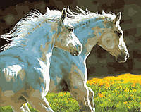 Рисование по номерам Пара белых лошадей (BK-GX30151) 40 х 50 см (Без коробки)