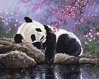 Раскраски по номерам Панда на отдыхе (BK-GX25108) 40 х 50 см (Без коробки)